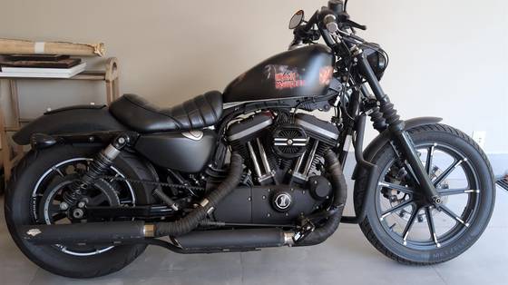 HARLEY-DAVIDSON SPORTSTER XL 883N IRON 